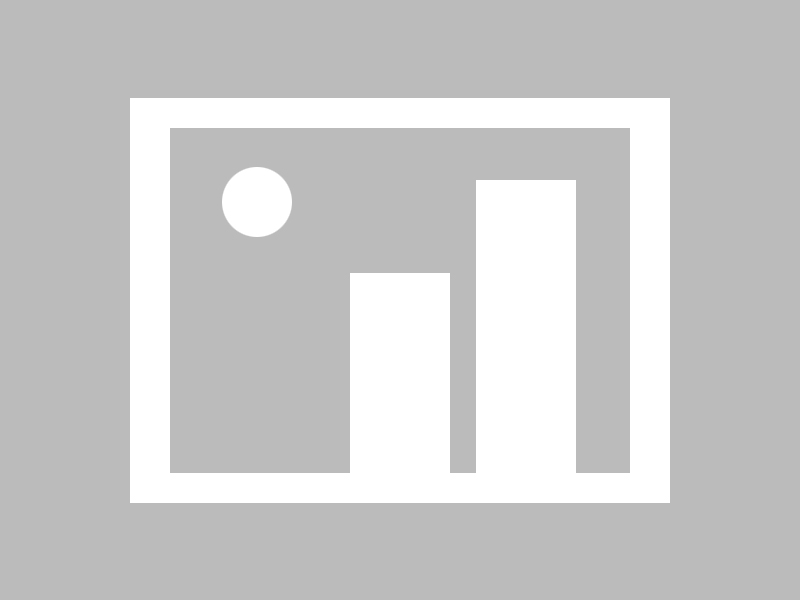 快速去除狗身上的跳蚤